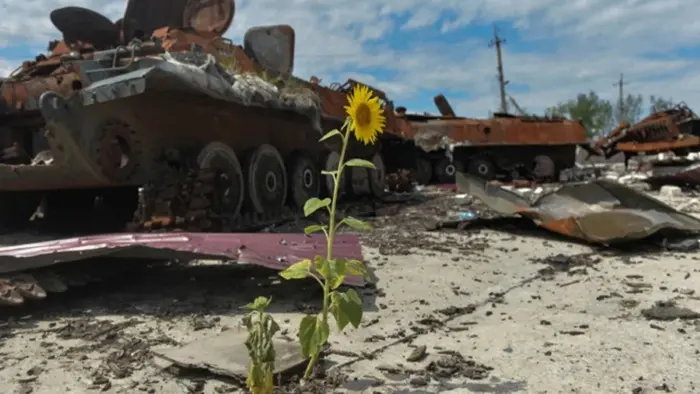 Ecocide, illustrative photo / From open sources